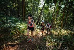 BIB: 
                            <button type="button" onclick="openModal(22551074)" class="btn btn-primary btn-sm float-right btn-popup" data-toggle="modal" data-target=".modal-high-quality">
                        <i class="fas fa-shopping-cart"></i> Add to Cart
                    </button>
                                            <button type="button" onclick="isThisMe(22551074, true)" class="btn btn-success btn-sm float-right btn-popup btn-isme hidden" data-toggle="tooltip" data-placement="bottom" title="นี่คือรูปของคุณใช่ไหม คลิกที่นี่เพื่อเอาเข้าอัลบั้ม">
                        <i class="fas fa-plus"></i> Add to album
                    </button>
                    <button type="button" onclick="isThisMe(22551074, false)" class="btn btn-warning btn-sm float-right btn-popup btn-isnotme hidden">
                        <i class="fas fa-ban"></i> Remove from album
                    </button>